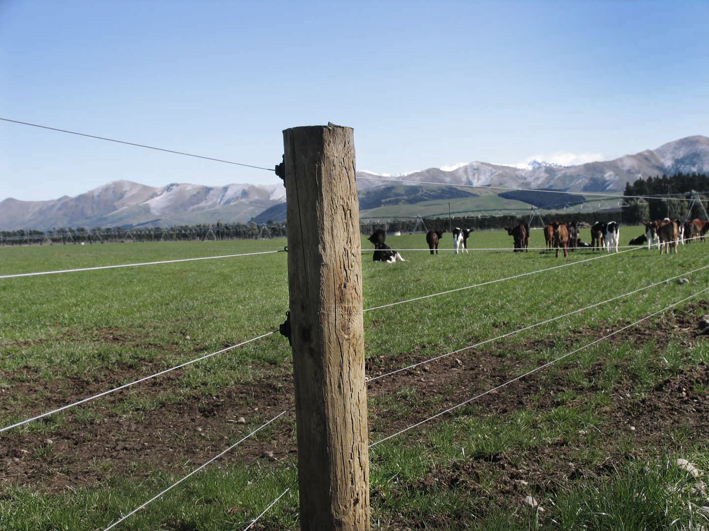 Farmlands Farmlands, Federated Farmers and Stuff team up to refence